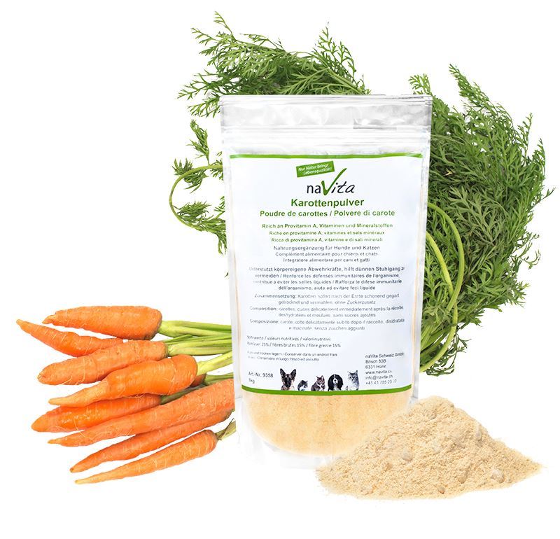 Polvere di carote 1kg